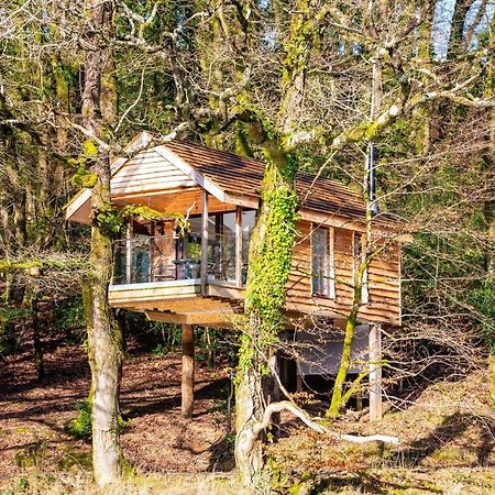 Finest Retreats - The Tree House - Eco-Friendly, Back To Nature Experience Germansweek 外观 照片
