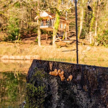 Finest Retreats - The Tree House - Eco-Friendly, Back To Nature Experience Germansweek 外观 照片