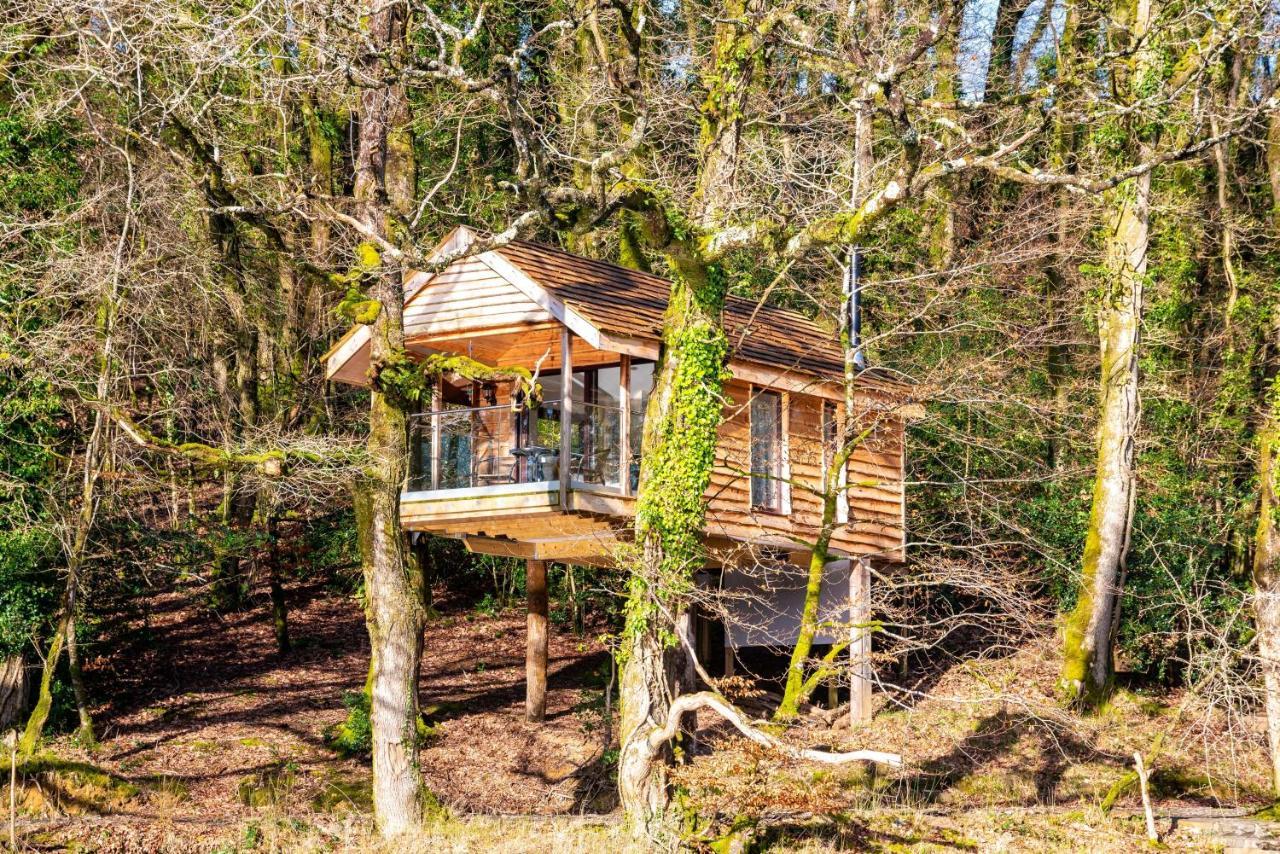 Finest Retreats - The Tree House - Eco-Friendly, Back To Nature Experience Germansweek 外观 照片