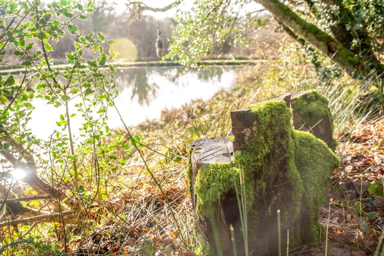 Finest Retreats - The Tree House - Eco-Friendly, Back To Nature Experience Germansweek 外观 照片